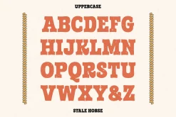 Stale Horse | Western Typeface