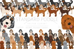 Standard poodle clipart