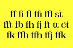 Stigsa Display Font Family