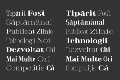 Stigsa Display Font Family
