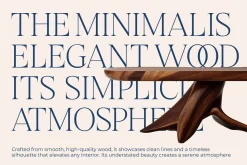 Stokeda Thin Modern Serif Font