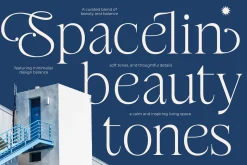 Stokeda Thin Modern Serif Font