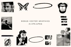 STONED YOUTH - GRAPHIC FONT