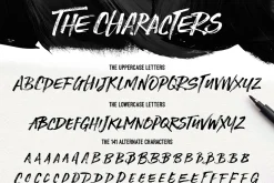Stone Harbour Brush Font + Extras