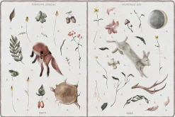 Stranger Forest Collection