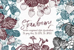 Strawberry vector illustration