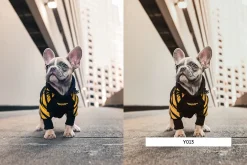 20 Streetwear Lightroom Presets LUTs