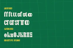 Stunco | Slab Serif Font