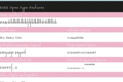 Suez font