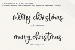 Sugarberry | Handwritten Script Font