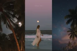 890 Summer Beach Stock Images Bundle
