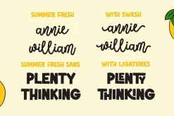 Summer Fresh - Chunky Font Duo