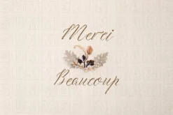 Summer in Paris Font Combination