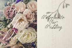 Summer in Paris Font Combination