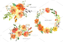 Summer Orange Watercolor Flowers