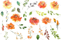 Summer Orange Watercolor Flowers