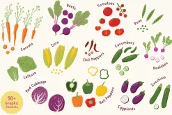 Summer Veggies