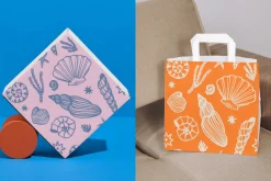 Summer Vibe (Vector Collection)