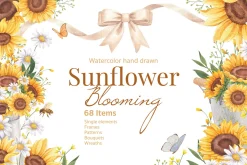 Sunflower Blooming Watercolor