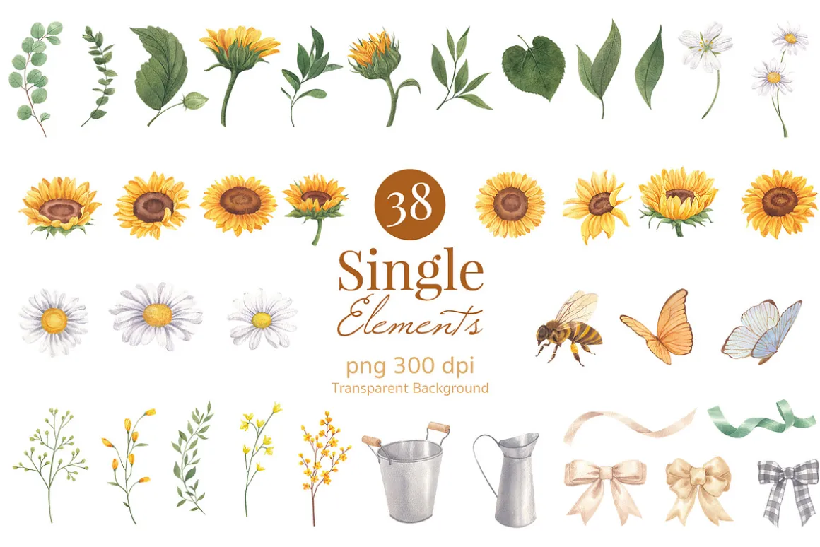 Sunflower Blooming Watercolor
