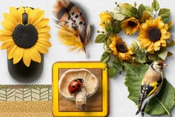 Sunflowers Realistic PNG Objects