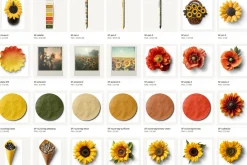 Sunflowers Realistic PNG Objects