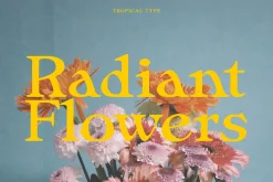 Sunliner Revival Retro Font