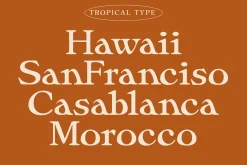 Sunliner Revival Retro Font