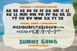 Sunny Gang - Quirky Typeface