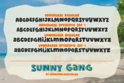 Sunny Gang - Quirky Typeface