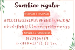 Sunshine | Script Font