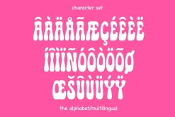Sushi Groove Font - Groovy Font