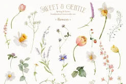 Sweet & gentle. Spring & Easter