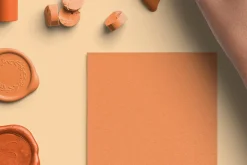 Tangerine Elegant Sealing Wax PNG