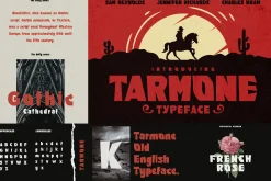 Tarantology Font Bundle (42 Fonts!)