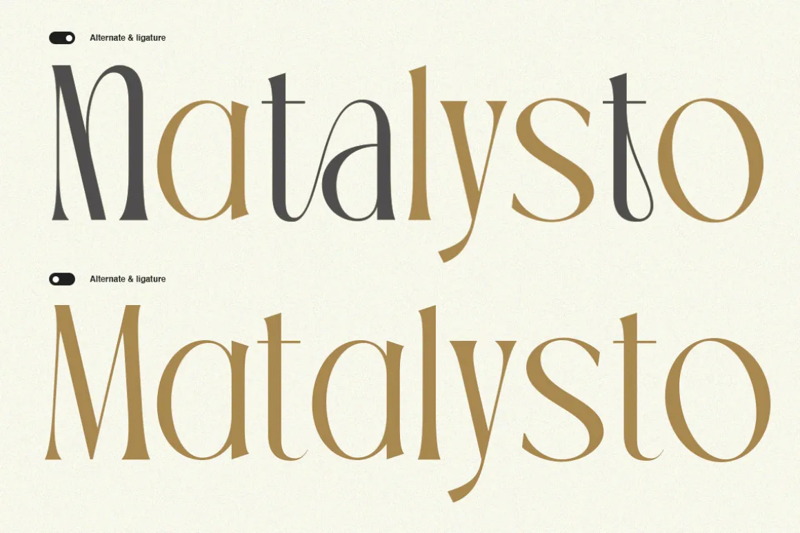 TBJ Palatino Stylish Serif Font