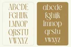 TBJ Palatino Stylish Serif Font