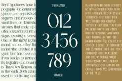 TBJ Palatino Stylish Serif Font