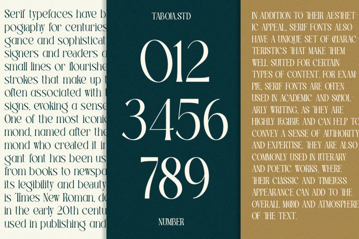 TBJ Palatino Stylish Serif Font