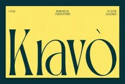 TBJ Palatino Stylish Serif Font
