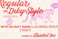 Tequila Sunrise Typeface Pack