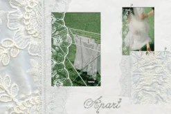 Textile, Lace & Paper Fragments