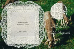 Textile, Lace & Paper Fragments