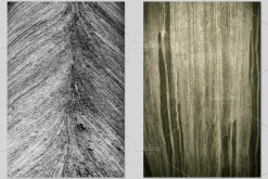 Textural Diversity-Premium PhotoPACK