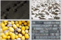 Textural Diversity-Premium PhotoPACK
