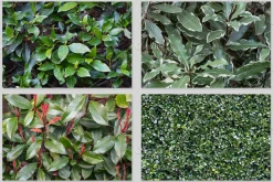 Textural Diversity-Premium PhotoPACK