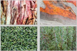 Textural Diversity-Premium PhotoPACK
