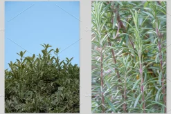 Textural Diversity-Premium PhotoPACK