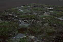 Textures - Grass, Mud, Puddles