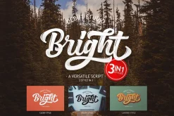 THE LAYERED FONT BUNDLE